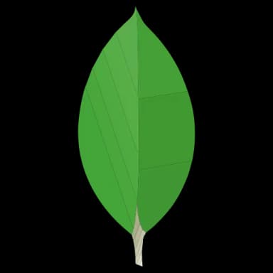 Logo MongoDB